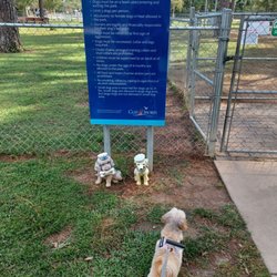 Gulf Shores Dog Park - Taking Chip for a quick stroll in the doggy park :-)
