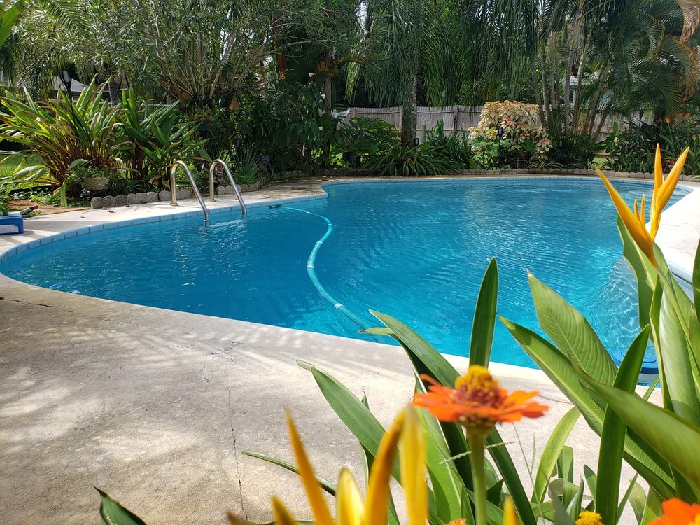 THE POOL GUYS OF PINELLAS Updated September 2024 19 Photos