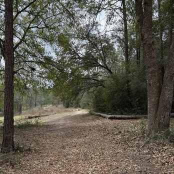 Highland RV Campground - Walkway down to the ponds and river - Campgrounds Near Me - Crestview, Florida Highland RV Campground - Walkway down to the ponds and river - Campgrounds Near Me - Crestview, Florida