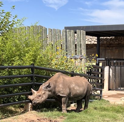 Abilene Zoo by null