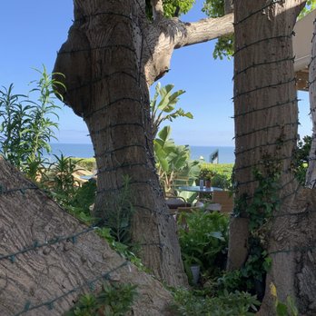 Geoffrey's Malibu - Seafood Near Me - Malibu, California