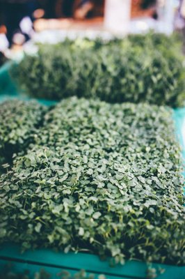 Riverside Farmers' Market by null