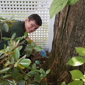 Emerald Acres Turf & Tree Care - Eli from Emerald Acres injecting a tree with fertilizer - Tree Services Near Me - Maynard, Massachusetts Emerald Acres Turf & Tree Care - Eli from Emerald Acres injecting a tree with fertilizer - Tree Services Near Me - Maynard, Massachusetts