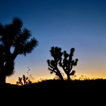 Joshua Tree Workshops - Sunsets, sunrises, Joshua Tree, Blue Skys, Rock Boulders, Geological feature, Night Sky - Photography Classes Near Me