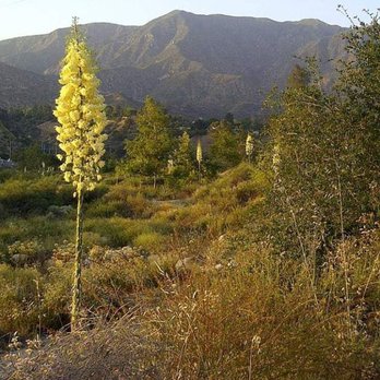 Hahamongna Watershed Park - Hahamongna - Parks Near Me - La Cañada Flintridge, California Hahamongna Watershed Park - Hahamongna - Parks Near Me - La Cañada Flintridge, California