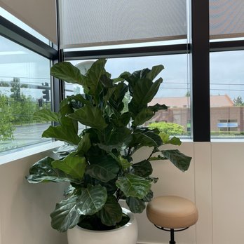 Skin by Lovely - Nice view while waiting for treatment. - Skin Care Near Me - Vancouver, Washington