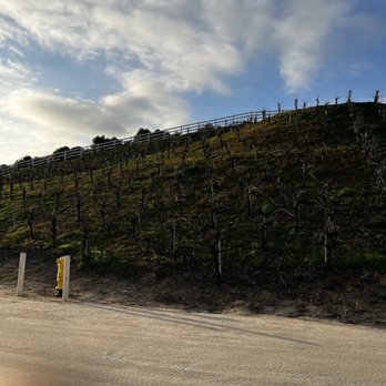 Masia de la Vinya Winery - Walking up from the parking - their vines - Wineries Near Me - Temecula, California