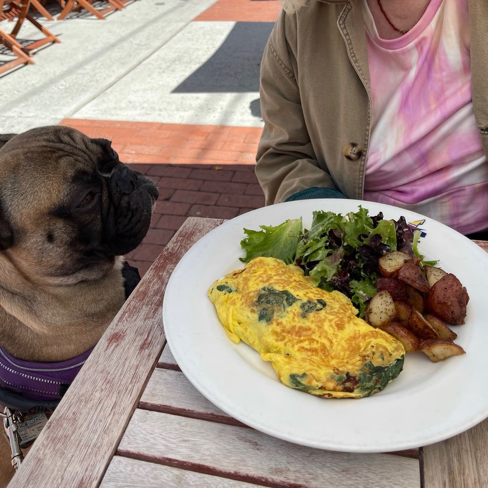 Pierre's - 2 Eggs omelette with Spinach and goat cheese - French Near Me - Bridgehampton, New York Pierre's - 2 Eggs omelette with Spinach and goat cheese - French Near Me - Bridgehampton, New York
