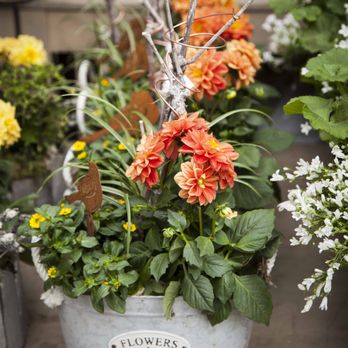 Garten-Center Kremer - Nurseries & Gardening Near Me - Gummersbach, NW Garten-Center Kremer - Nurseries & Gardening Near Me - Gummersbach, NW