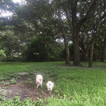 John Williams Park - My little ones - Dog Parks Near Me - Hollywood, Florida John Williams Park - My little ones - Dog Parks Near Me - Hollywood, Florida
