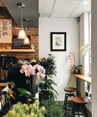 Remi Flower & Coffee by null