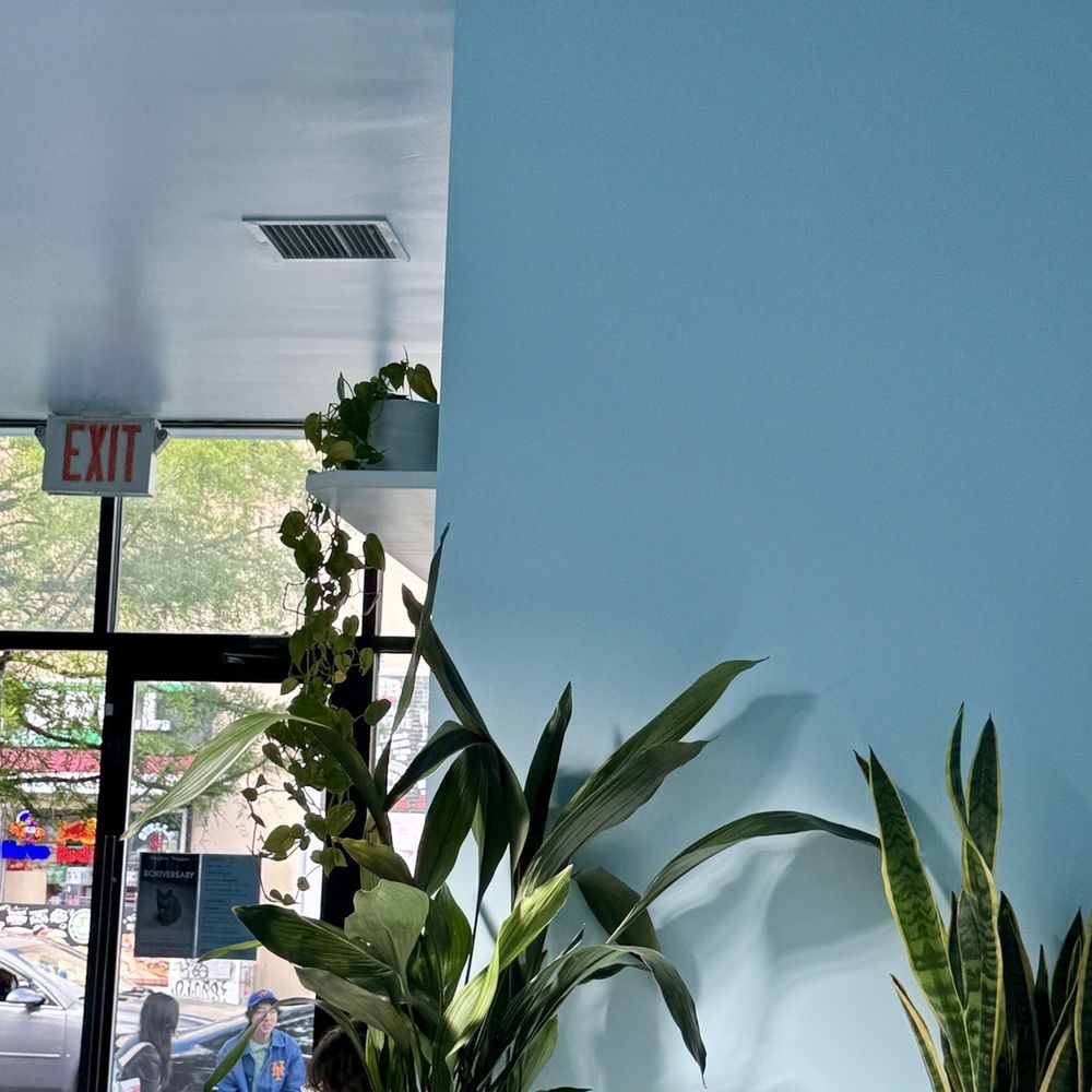 Dayglow - Coffee & Tea Near Me - Brooklyn, New York
