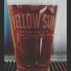 Yellow Sun Brewing