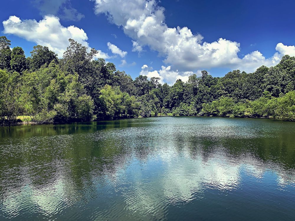 WILLOW SPRINGS CAMPGROUND AND VENUE Updated August 2024 34988 Betts