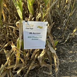 Etsch Farms
