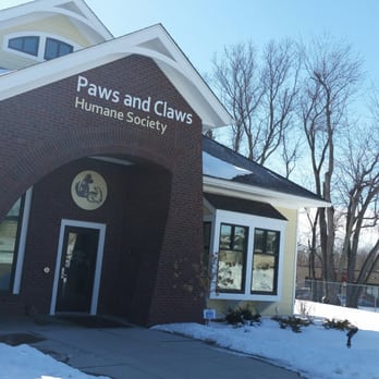 Paws & Claws - Please adopt a cat, they need a home. - Animal Shelters Near Me - Rochester, Minnesota Paws & Claws - Please adopt a cat, they need a home. - Animal Shelters Near Me - Rochester, Minnesota