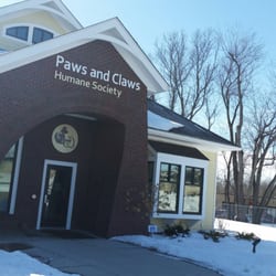 Paws & Claws - Please adopt a cat, they need a home.