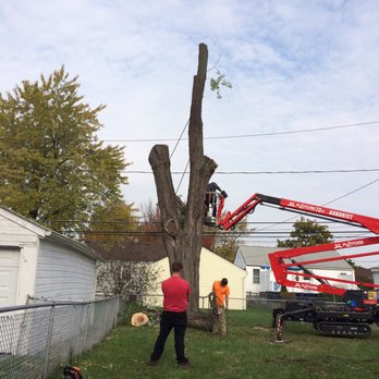 Woodchuck Tree Service - The trunk... - Tree Services Near Me - Grand Island, New York Woodchuck Tree Service - The trunk... - Tree Services Near Me - Grand Island, New York