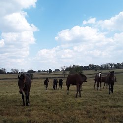 Magdalena Farm
