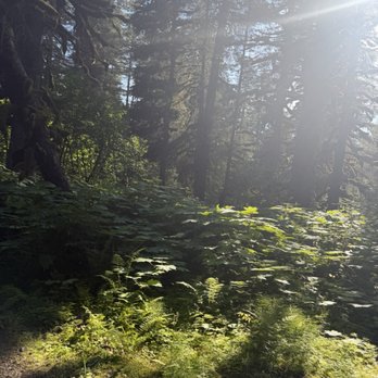 ATV Seward - ATV Rentals/Tours Near Me - Seward, Alaska ATV Seward - ATV Rentals/Tours Near Me - Seward, Alaska