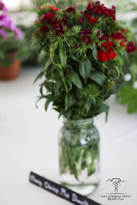 Baker Creek Heirloom Seed Company by null