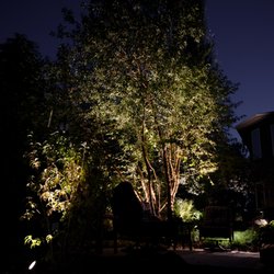 The Edmonton Landscape Lighting Company