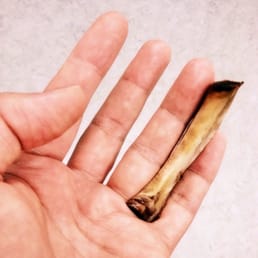 That's not a rib, that's a finger.  That might be a rib from an armadillo, but Germany doesn't have armadillos.
