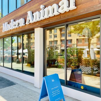 Modern Animal Pasadena - Veterinarians Near Me - Pasadena, California Modern Animal Pasadena - Veterinarians Near Me - Pasadena, California