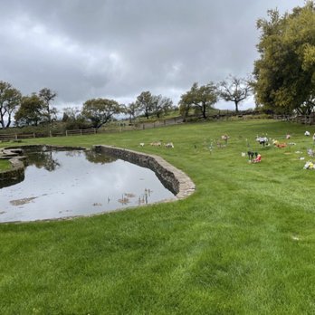 Bubbling Well Pet Memorial Park - Large pond - Pet Cremation Services Near Me - Napa, California