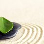Photo of Santa Monica In-Home Wellness