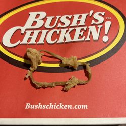 Bush's Chicken - Deep-fried rubber band in my chicken