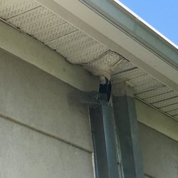 Critter Control of Orlando