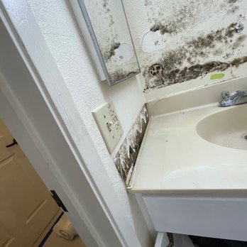Premier Restoration Hawaii - Oahu - Damage Restoration Near Me - Honolulu, Hawaii Premier Restoration Hawaii - Oahu - Damage Restoration Near Me - Honolulu, Hawaii