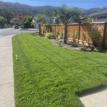 Rock Landscaping - After - Landscaping Near Me
