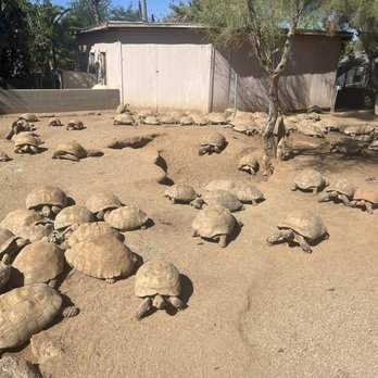 Phoenix Herpetological Society - Community Service/Non-Profit Near Me