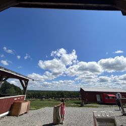 Lilac Hedge Farm - Views of the waiting area