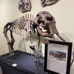 Zuhl Museum: Home of the Zuhl Collection