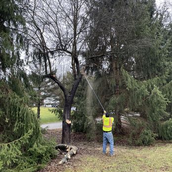 R & D Tree Service - Team work - Tree Services Near Me - Hopewell Junction, New York R & D Tree Service - Team work - Tree Services Near Me - Hopewell Junction, New York