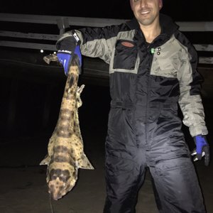 bob sands fishing tackle