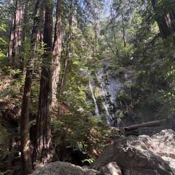 Pfeiffer Big Sur State Park - Tiny waterfall - Parks Near Me Pfeiffer Big Sur State Park - Tiny waterfall - Parks Near Me