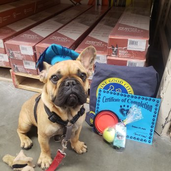 It's Only Love Dog Training - Pet Training Near Me It's Only Love Dog Training - Pet Training Near Me