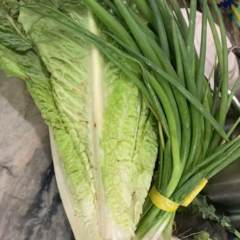 Thorne Family Farm - Delicious romaine, spring onions and broccoli - Farmers Market Near Me - Malibu, California