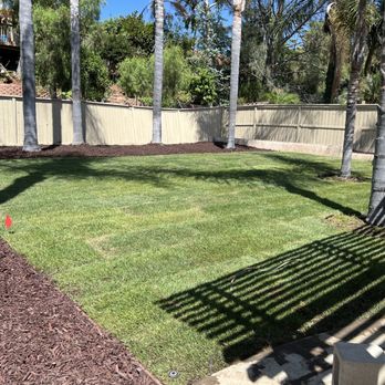 Active Lawn Care - a freshly mowed lawn - Lawn Services Near Me