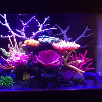 Aquatica - Pet Stores Near Me - Tinley Park, Illinois