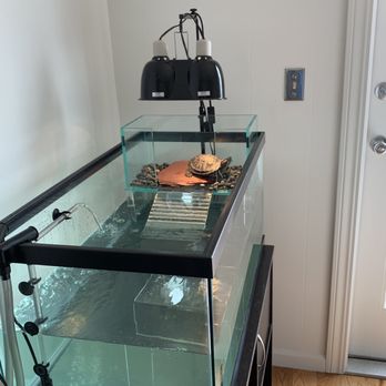TAP Plastics - Turtle Tank - Hardware Stores Near Me - San Francisco, California