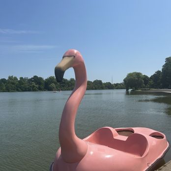 Hoyt Lake Row Boats - Flamingo boat - Boat Charters Near Me Hoyt Lake Row Boats - Flamingo boat - Boat Charters Near Me