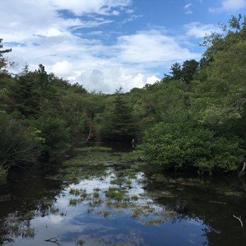 Quogue Wildlife Refuge - Parks Near Me - Quogue, New York Quogue Wildlife Refuge - Parks Near Me - Quogue, New York