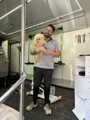 Dashing Pet Grooming