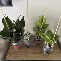 Downtown Florists - What was received.