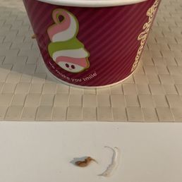2 of the 3 pieces of plastic in my ice cream